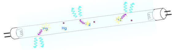 Absorption du rayonnement UV par la matière fluorescente qui recouvre la face interne du tube et transformation en lumière