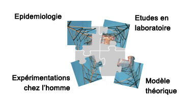 types de recherches