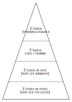 Pyramide des études